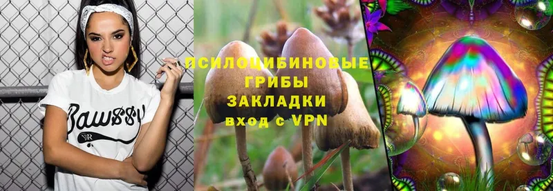 Псилоцибиновые грибы Psilocybine cubensis  продажа наркотиков  Вичуга 